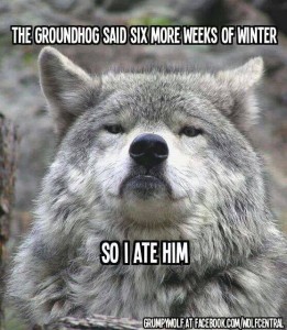 groundhog_wolf